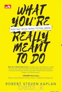 What You're Really Meant to Do : road map untuk meraih potensi unikmu